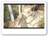 Daily Bike Ride Trails