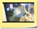 Cat_Dog_Bird.avi