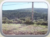 Land Scape on way to Brookings OR