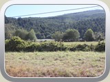 Land Scape on way to Brookings OR