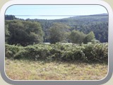 Land Scape on way to Brookings OR