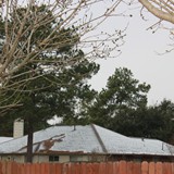 IMG_1034