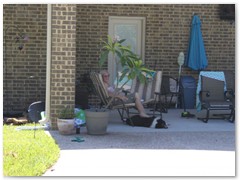IMG_1913