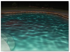 IMG_1919
