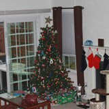 IMG_0477