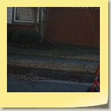 IMG_0746