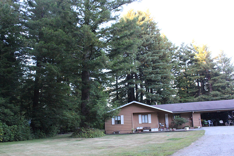 Mom & Dad's House