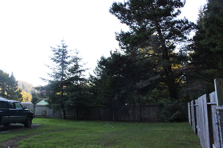 Mom & Dad's House
